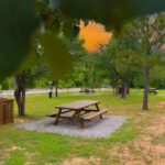 Community picnic pavilion at Pinewood Place Townhomes at sunset
